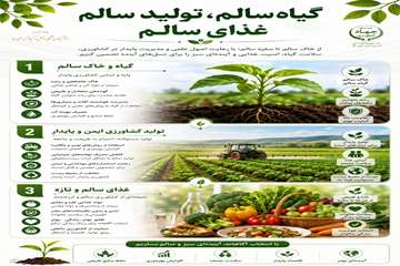 اینفو 2